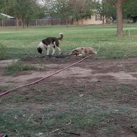 Meet your Posher, Kevin - Picture 1 of 1